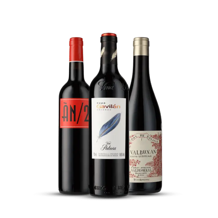 Kit Espanha - ÀN/2, Cepa Gavilán e Valbuxán